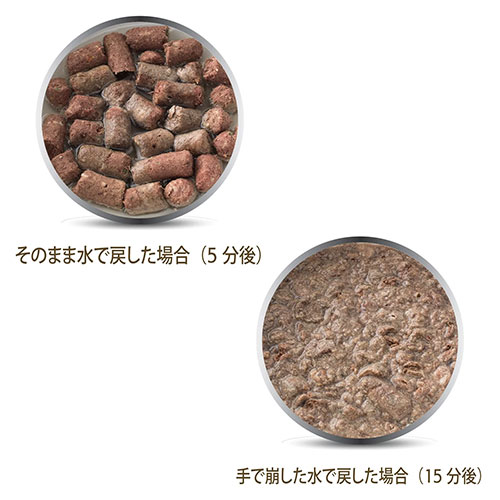 K9ナチュラル フリーズドライ ラム・フィースト K9NR9FLS-00