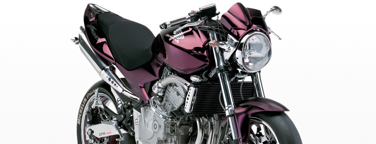 Honda HORNET 600 05-06 machined from solid aluminium RACE products