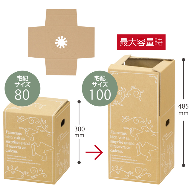 アジャストデリバリーカートン-2(W225×D225×H300): 花用宅配用品・備品