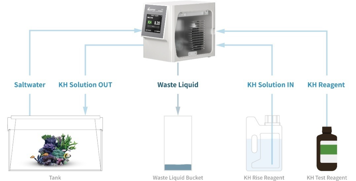Kamoer｜LSS Laboratory