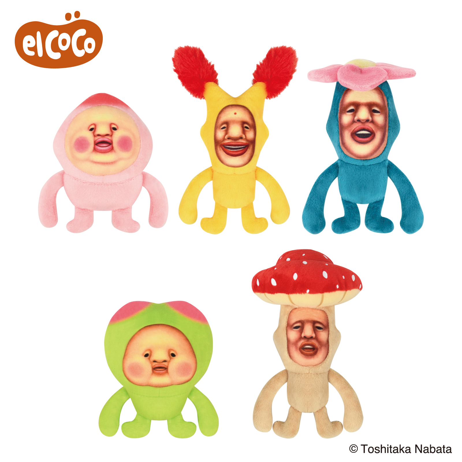 エルココランドこびとづかん ココぎゅっと！ますこっとぬいぐるみ（全5