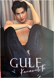 eThaiCD.com: Gulf : Be My Wonderful Emoji: Merchandises: Gulf : Be