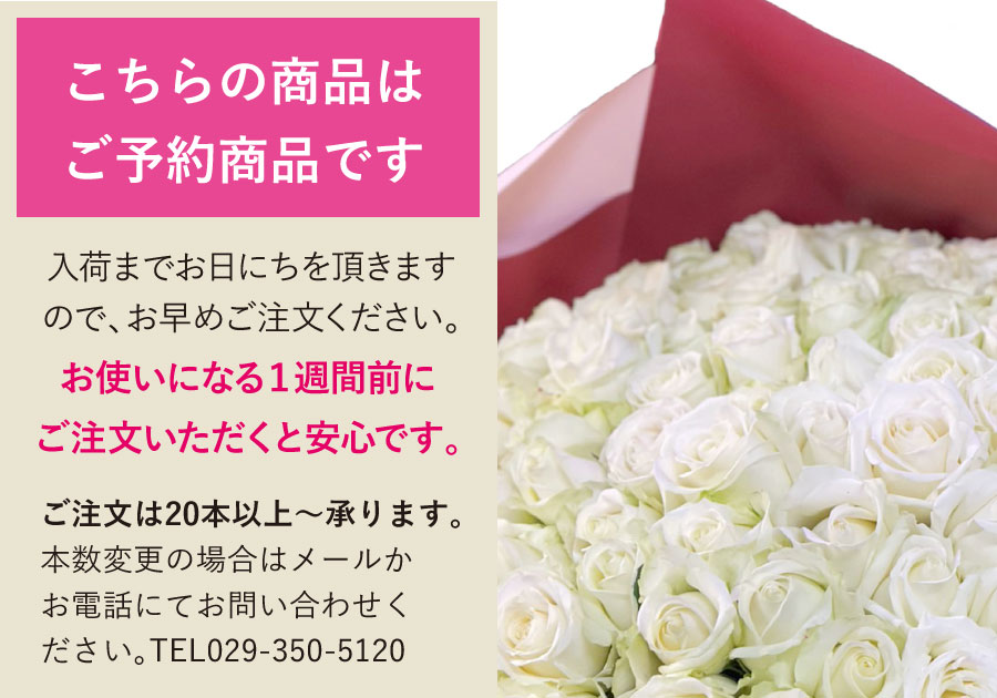 白いバラ100本の花束 バラ100本の花束 | エーデルワイス【花の贈り物