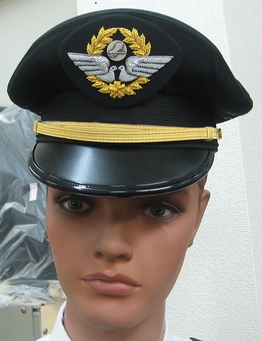 TeamANA Pilot Dream Team Scarf | ANA Official レア貴重 ANA