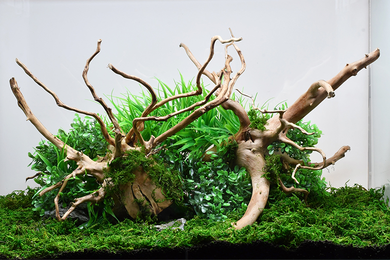 盆栽流木+南米ウィローモス アクアリウム 水槽 流木 bonsai layout 無