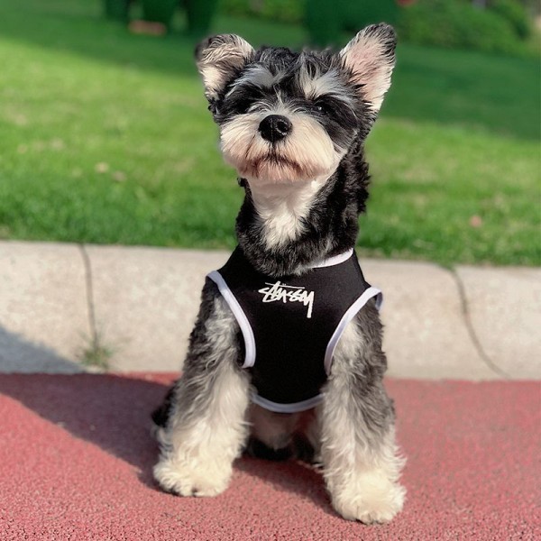 ステューシー 犬服 パロディー stussy ペット用品 ペット服 tシャツ