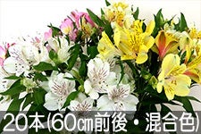 3801-115022.jpg