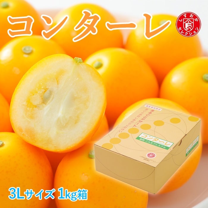 きんかん|【JAタウン】産地直送 通販 お取り寄せ