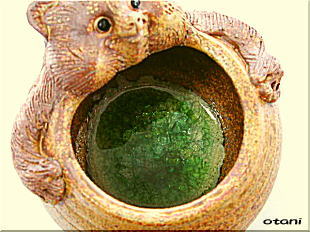 ☆ 狸 火鉢 径73～77cm 信楽焼 焼きキズ有り 狸 火鉢 径73～77cm