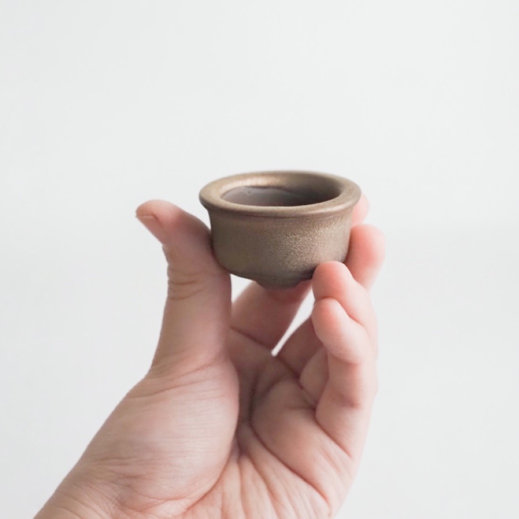 土交 正方 深め 盆栽鉢 【公式通販】