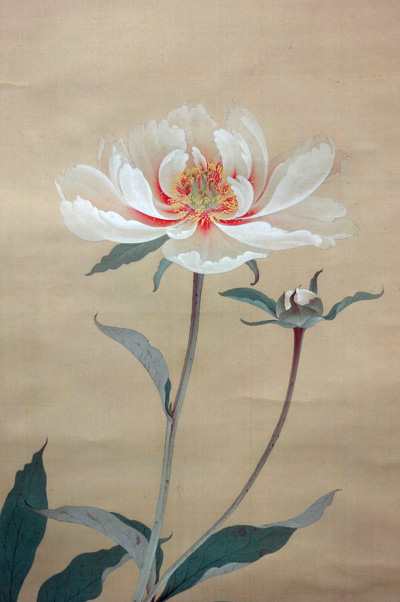 徳岡神泉 芍薬/Web書画ミュージアム/長良川画廊