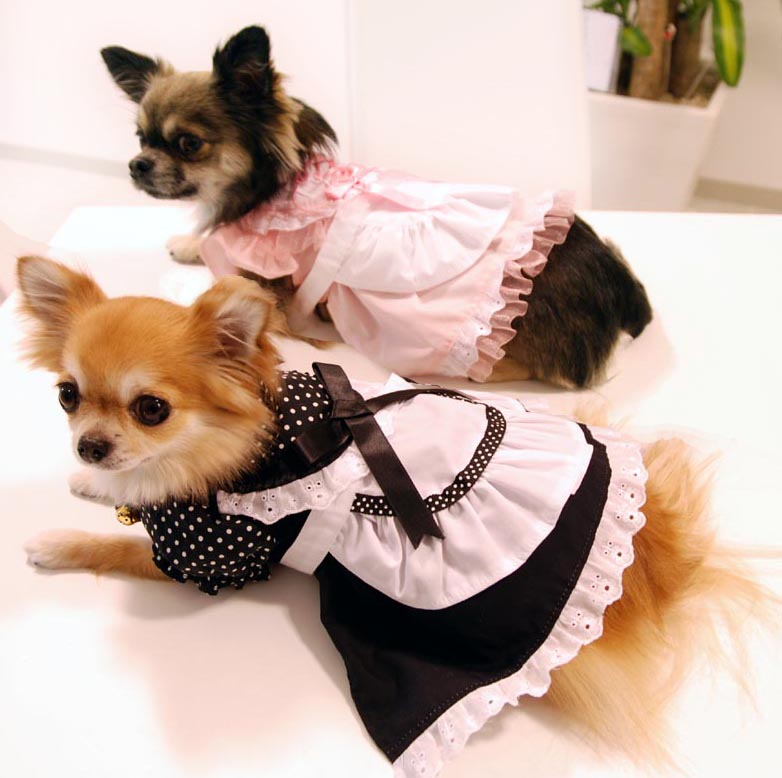 犬用 メイド服ワンピース 代官山Nahomilly 萌え～ エプロン ヘッド