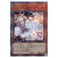 遊戯王 灰流うらら 25th 灰流うらら(25thレア/イラスト違い