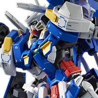 買取】1/100 MG GN-001/hs-A01D ガンダムアヴァランチエクシアダッシュ
