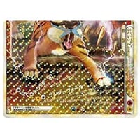 エンテイ＆ライコウLEGEND(下) ☆ [よみがえる伝説] 064/080 買取