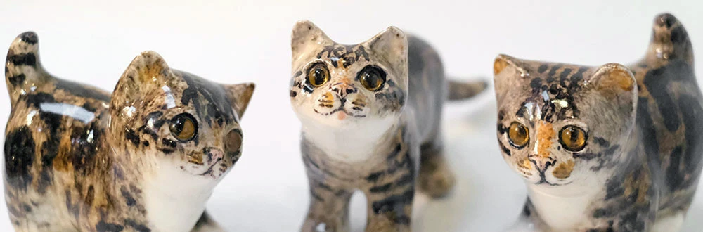 ウィンスタンレーキャット/ケンジントンキャットについて