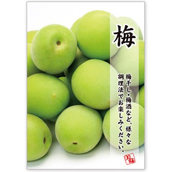 A3ポスター 梅: タイトルポップ｜販促物・販促通販の【POP GALLERY