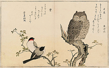 喜多川歌麿の狂歌絵本『百千鳥狂歌合』鳥の描写が見事である