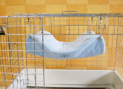 Margaret Hammock - ロイヤルチンチラ