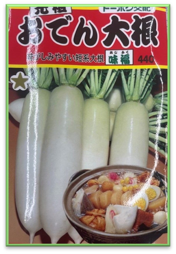 大根の播種シーズン到来、おすすめ品種のご紹介｜トヨタネブログ