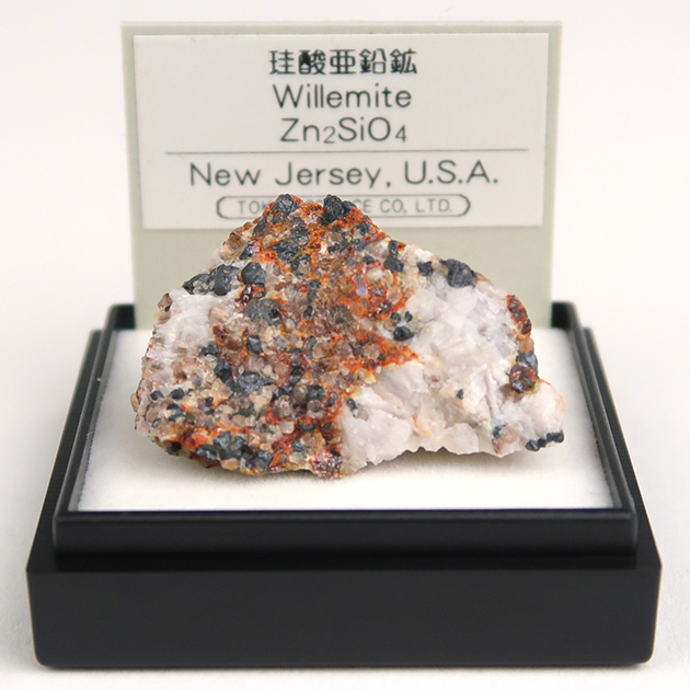 ミニ鉱物標本シリーズ｜化石販売・鉱物販売の東京サイエンス