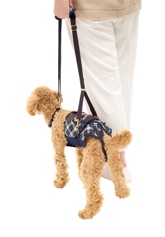小型犬用 緑チェック | 歩行補助ハーネス LaLaWalk