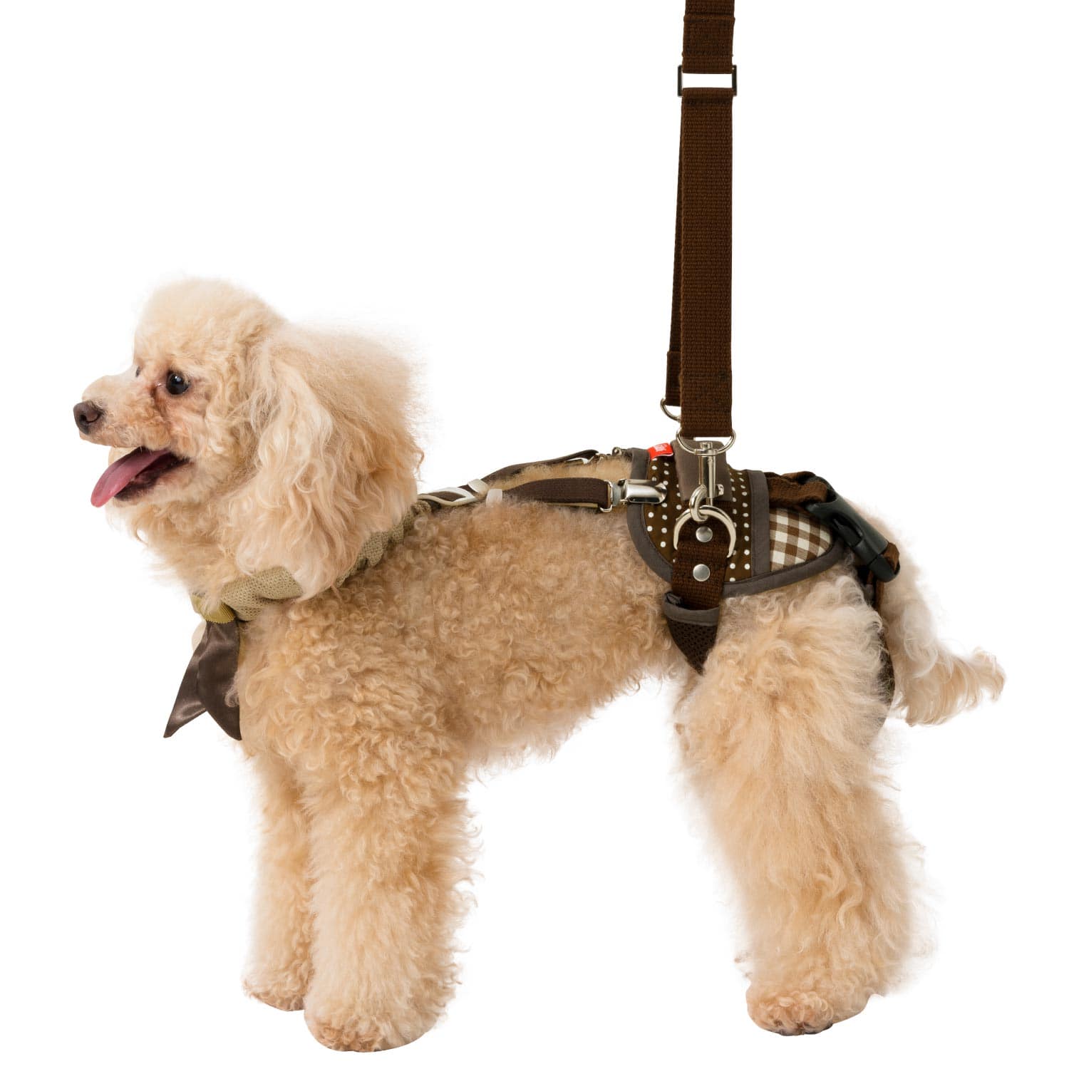 スーパーカムイ3kg(業務用1kg×3袋)犬猫小動物のしつけトレーニング