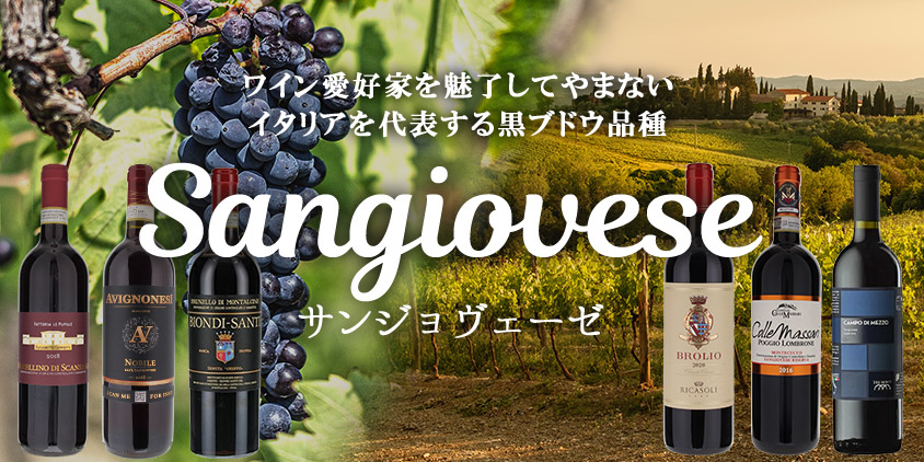 トスカニー イタリアワイン専門店 / ダル フォルノ ロマーノ