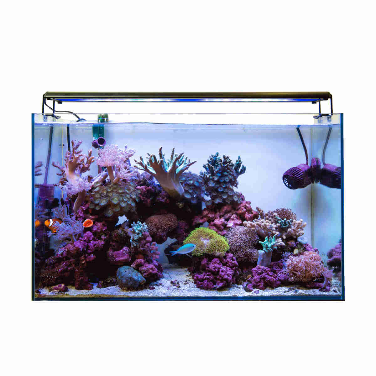 GrassyWing2 90 Marine - ボルクスジャパン ダイレクト