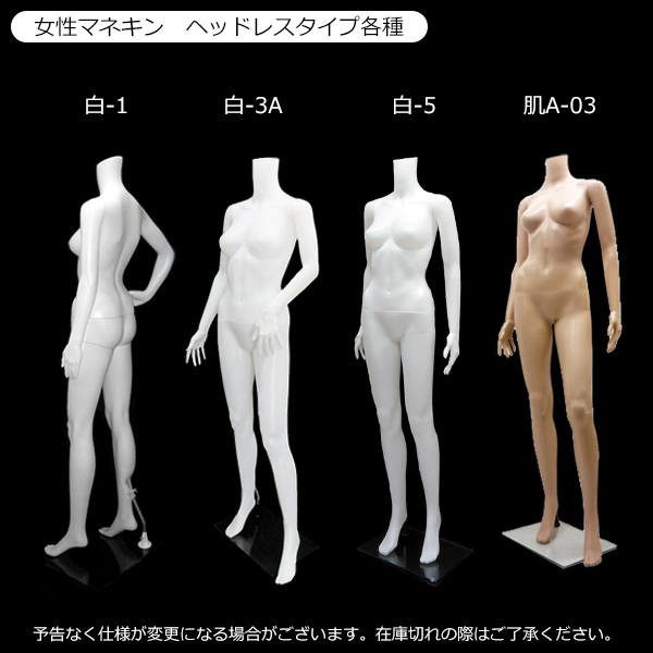 レディース ヘッドレスマネキン 白3A 同梱不可 婦人マネキン 女性