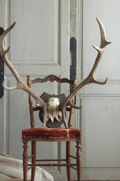 ハンティングトロフィー 牡鹿 剥製 ドイツ フランス アンティーク