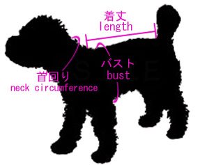 デワン サイズ表