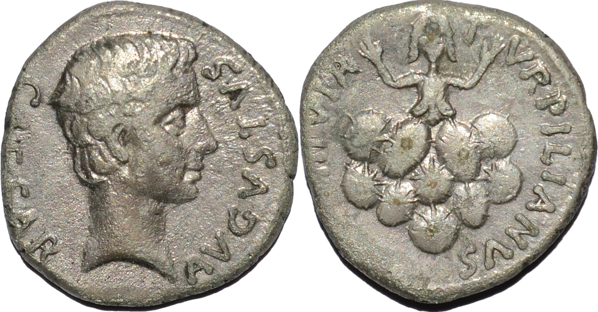 アンティークコインの世界 | ローマ建国神話 裏切りのタルペイア｜Shelk🦋