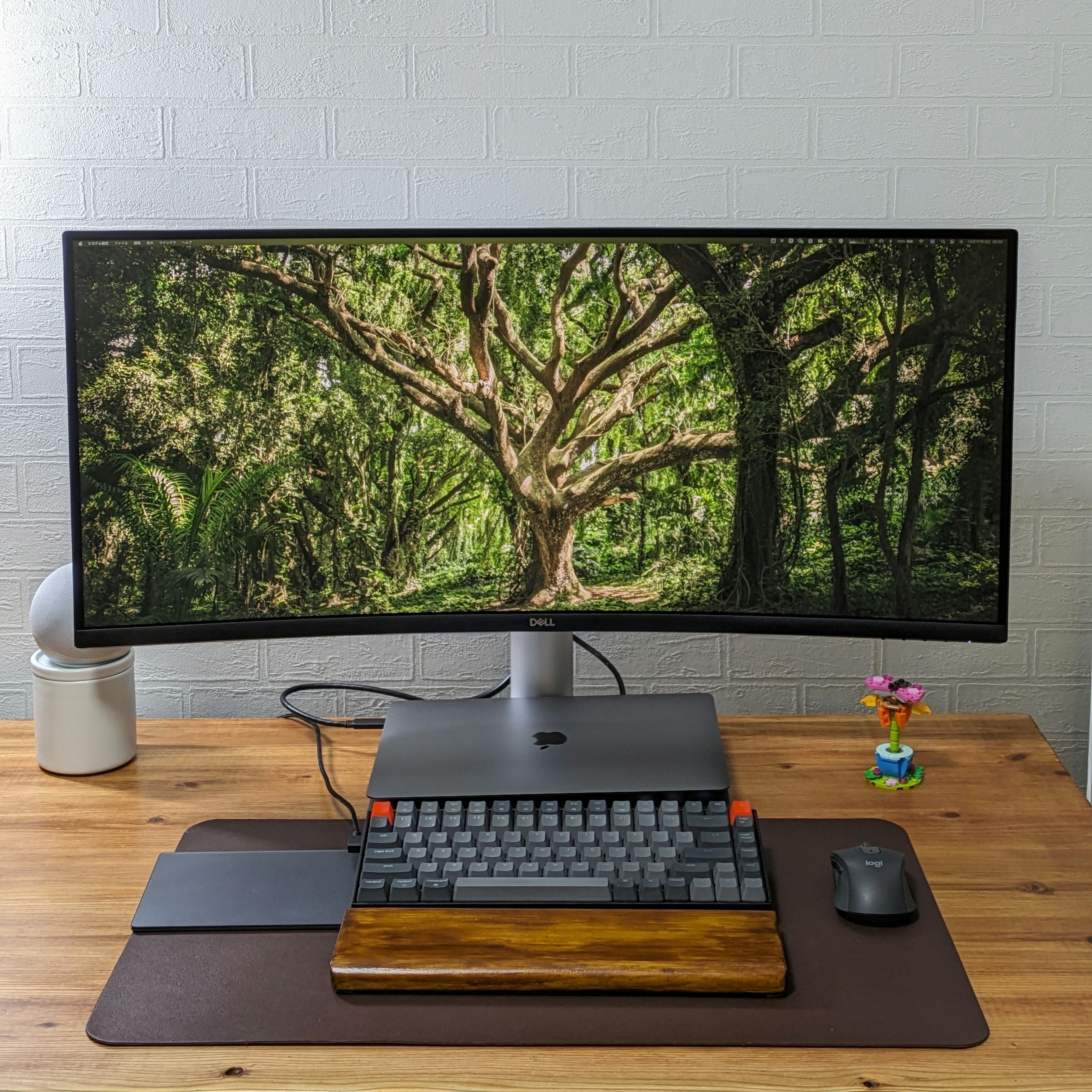 なんちゅう没入感！！ウルトラワイドモニターで得た超集中［PR］｜tacoyaky