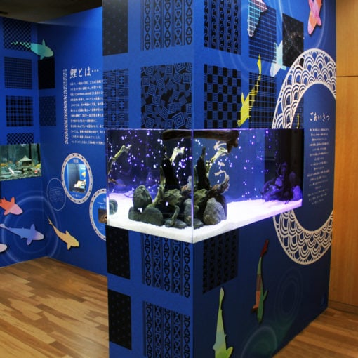 アクリル水槽 通常水槽 W120cm 側面・とフランジ重合