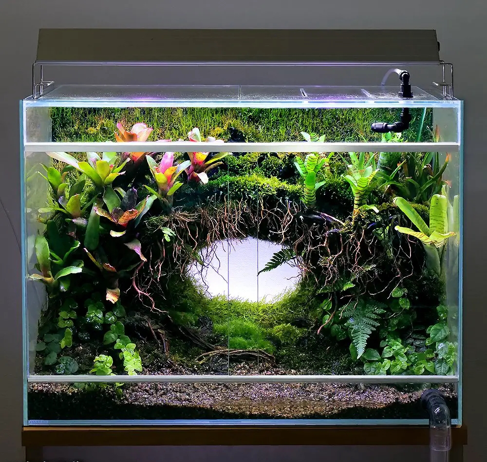 ADA キューブガーデン 60㎝水槽&アクアリウム用品2点 ADAキューブ