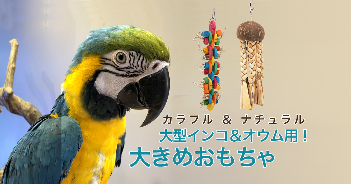 チャームオリジナル！大型鳥のおもちゃ特集 | チャーム