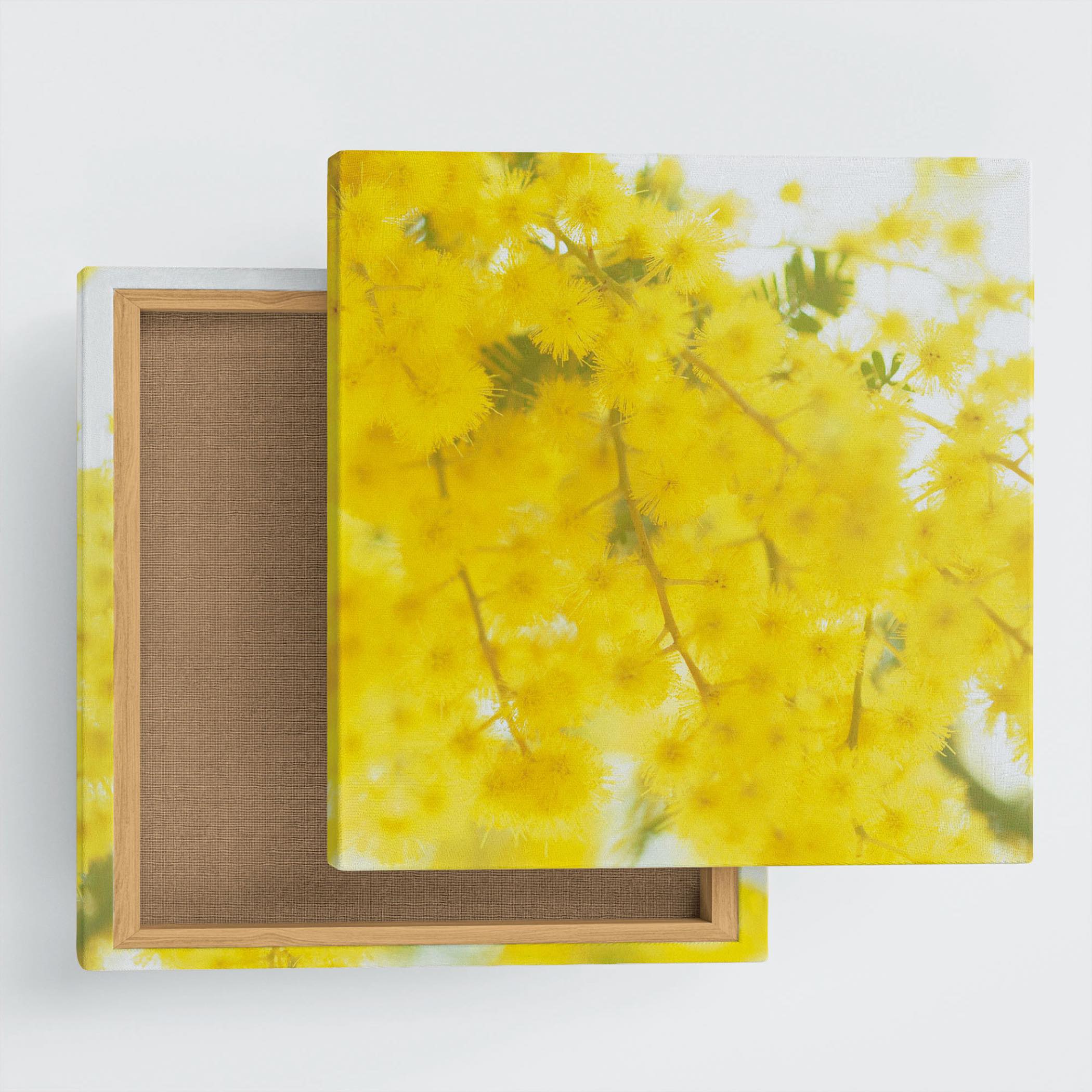 ミモザの壁掛けアートセット インテリア雑貨 アートパネル キャンバス