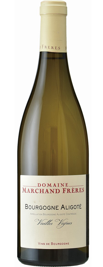 ブルゴーニュ アリゴテ 2024｜ドメーヌ マルシャン・フレール｜木下