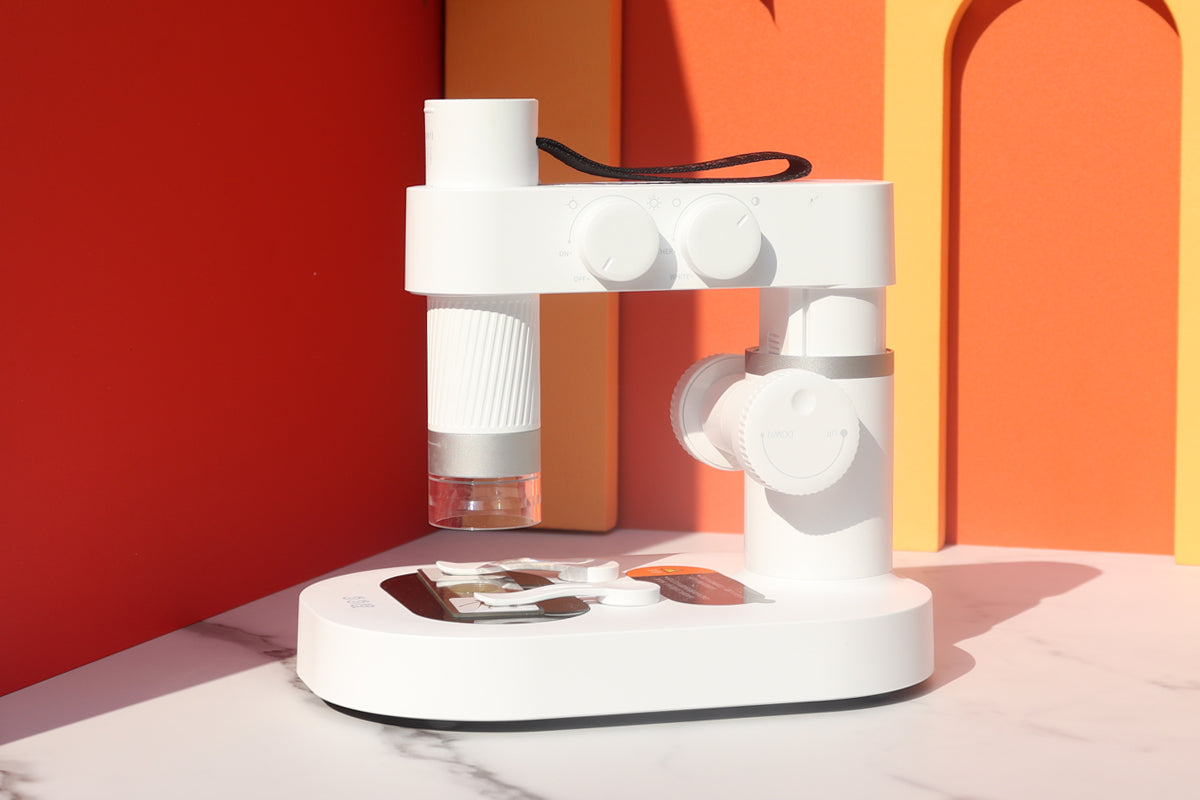 顕微鏡 – BEAVERLAB