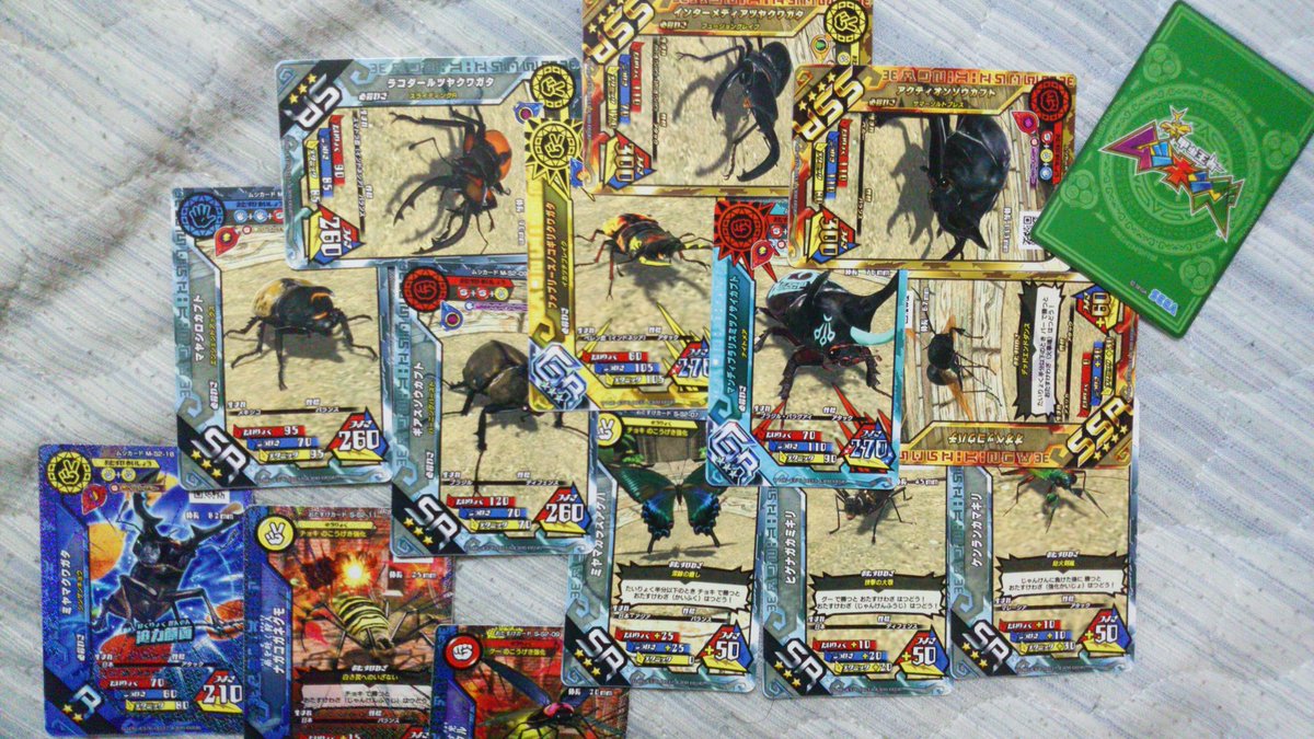 新甲虫王者ムシキング SGR ヒメカブト 期間限定版 通常印刷カード