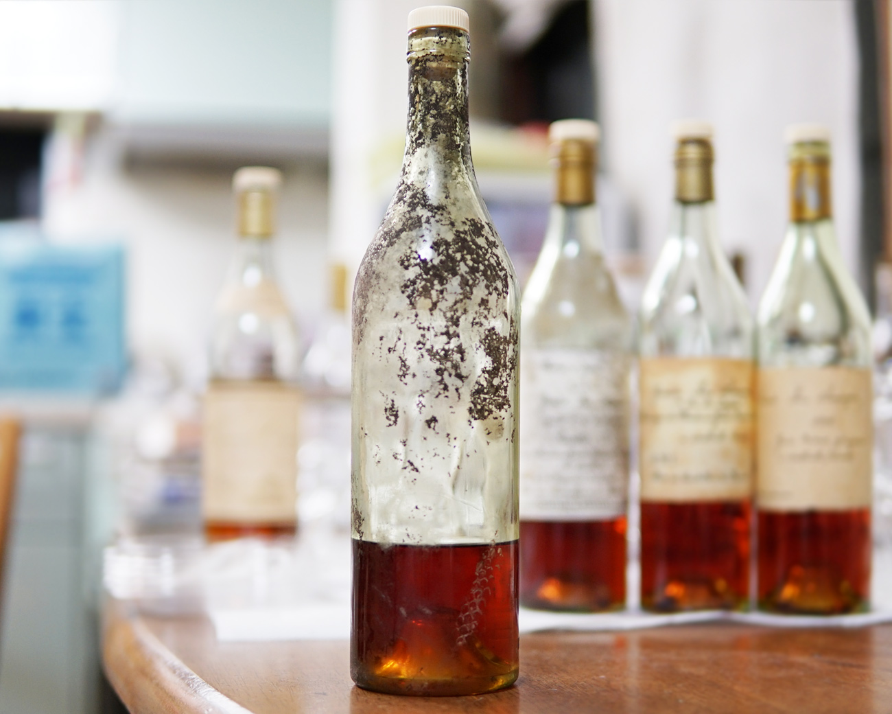 GALLEON EXTRA ガレオン エクストラ シップボトル 船 700ml 【公式通販