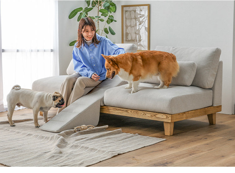 犬猫 ソファー 取り外し可 洗える グレー 北欧 ペットソファー 子供用