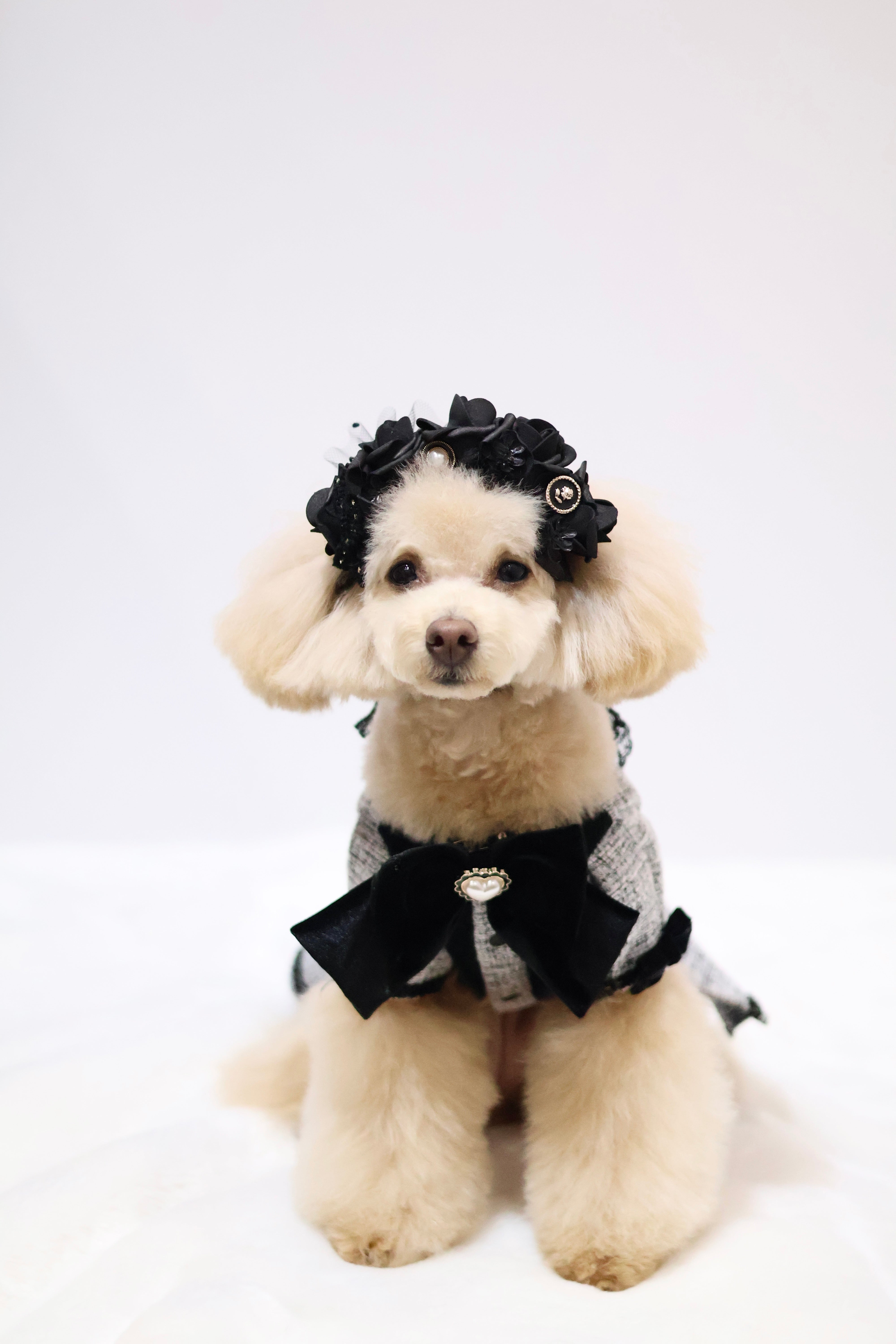 MaisonClassicワンピース – Candy Buppie Online