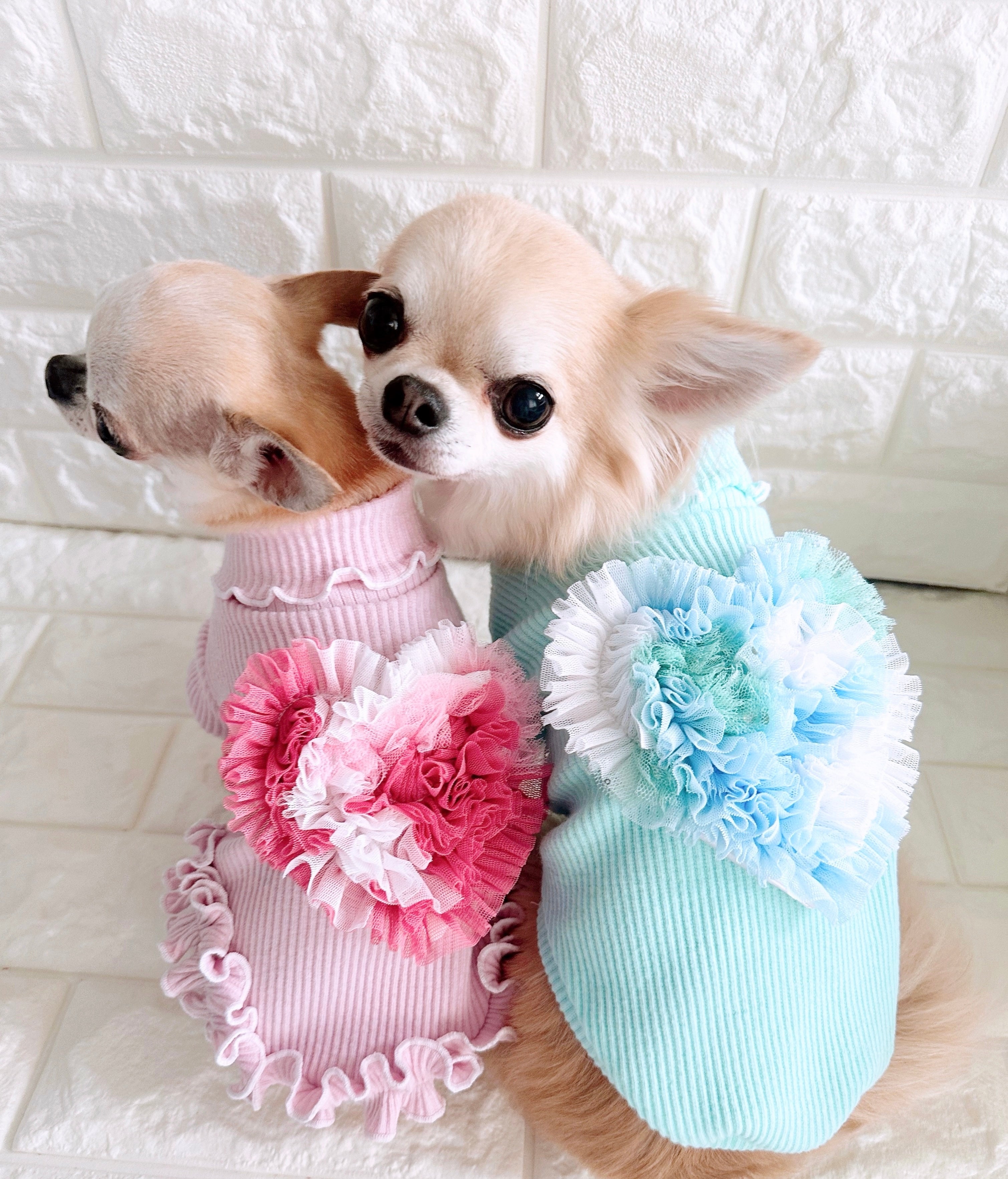 Fashion-Dollワンピ – Candy Buppie Online