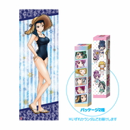 戦国乙女 スティックポスター 水着Ver.【シンゲン】 | キュイン萌ーる