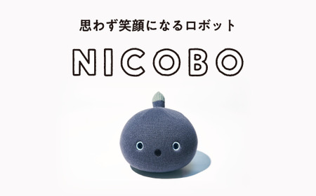 パナソニック ニコボ オナラや寝言も 思わず笑顔になるロボット