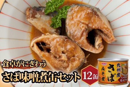 さば味噌煮缶セット(12缶)( 保存食 非常食 防災 備蓄 長期保存 )【B2