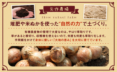 先行受付】R8年産 有機栽培玉ねぎ 20kg | 玉ねぎ たまねぎ タマネギ