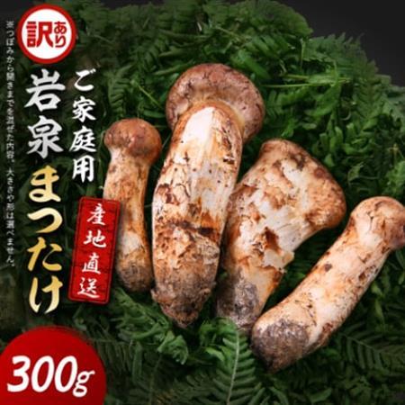 2026秋発送】【訳あり】ご家庭用 岩泉まつたけ 直送 300g_野菜 松茸
